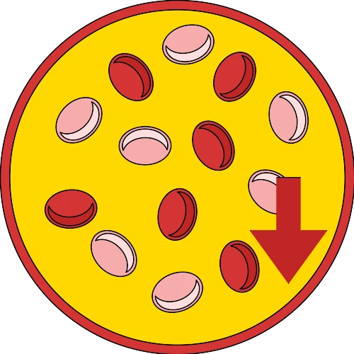 Blood Disorders: Thalassemia, Blood cancer, Sickle cell, Anaemia